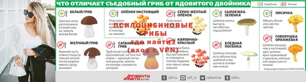 ГАЛЛЮЦИНОГЕННЫЕ ГРИБЫ Бородино